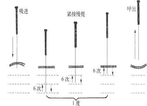 1584949550178u_50656_uw_500_wh_360_hl_14535_lm5_c488c7c4976832060bc09e198ef92a00_m5.jpg